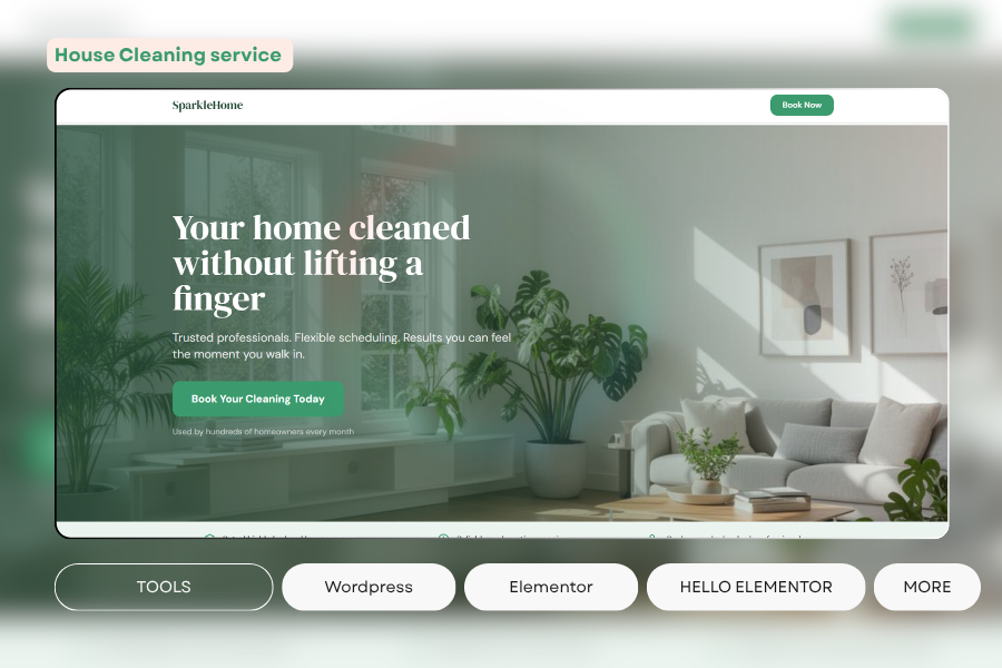 omer joya website designer in okara